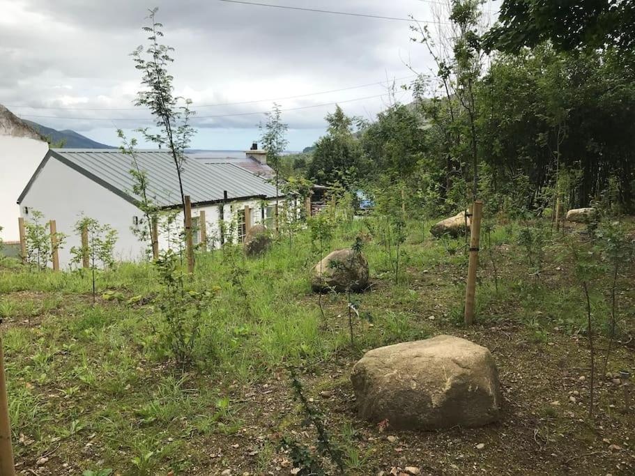 An Bothán-Cosy Cottage in the Cooley Mountains Dundalk Exterior foto