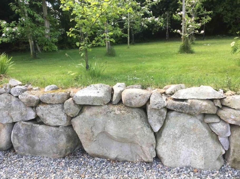 An Bothán-Cosy Cottage in the Cooley Mountains Dundalk Exterior foto